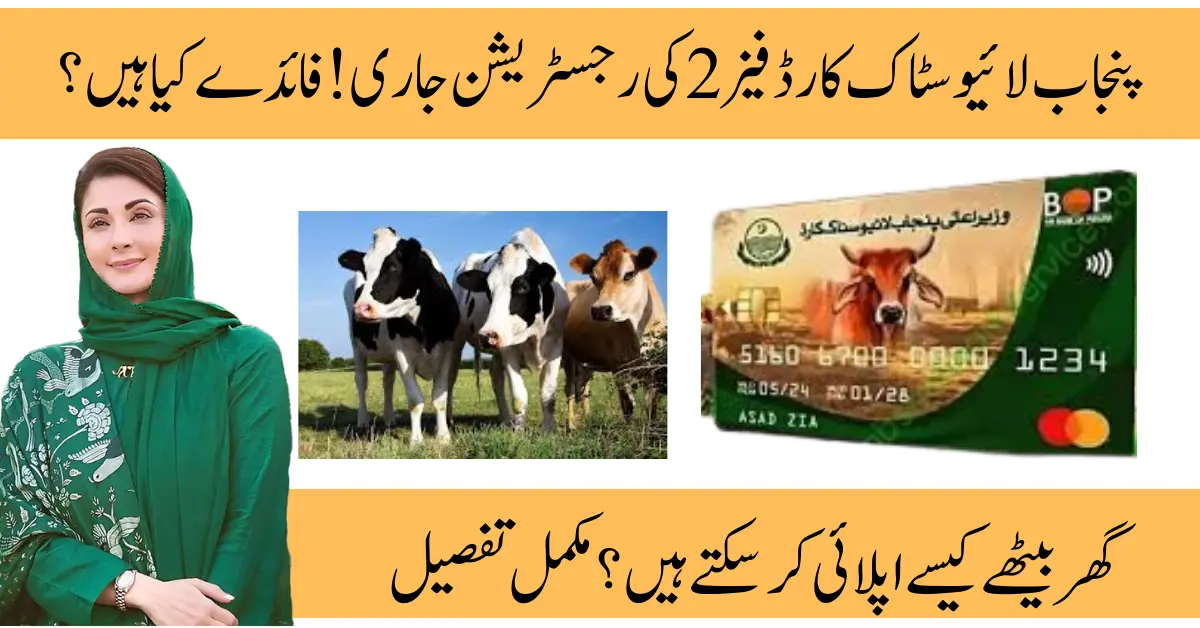CM Punjab Livestock Card 2025 Complete Guide to Apply Online & Eligibility