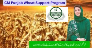 CM Punjab Wheat Support Program 2025: Complete Guide for Farmers