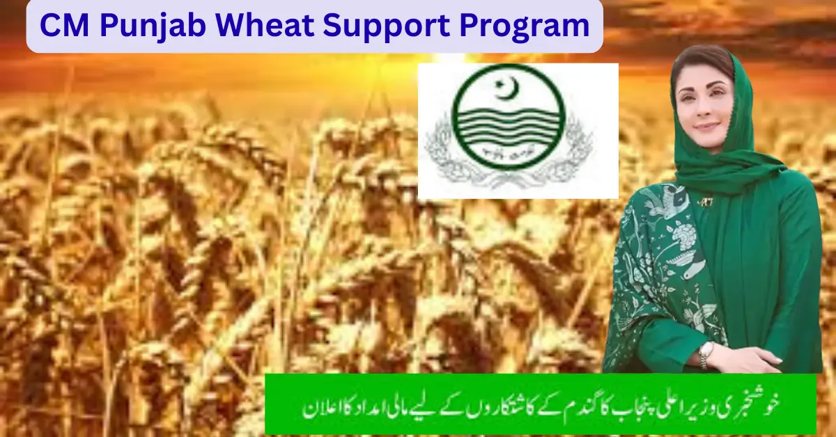 CM Punjab Wheat Support Program 2025 Complete Guide for Farmers