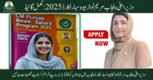 CM Punjab Bewa Sahara Card 2025 Launched for Widows