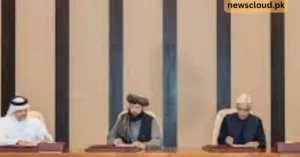 Crucial Istanbul Talks Kick Off: Pakistan Seeks Verifiable Mechanism to End Cross-Border Terror