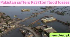 Pakistan Flood Losses Reach Rs371 Billion, GDP Target Slashed to 3.9%