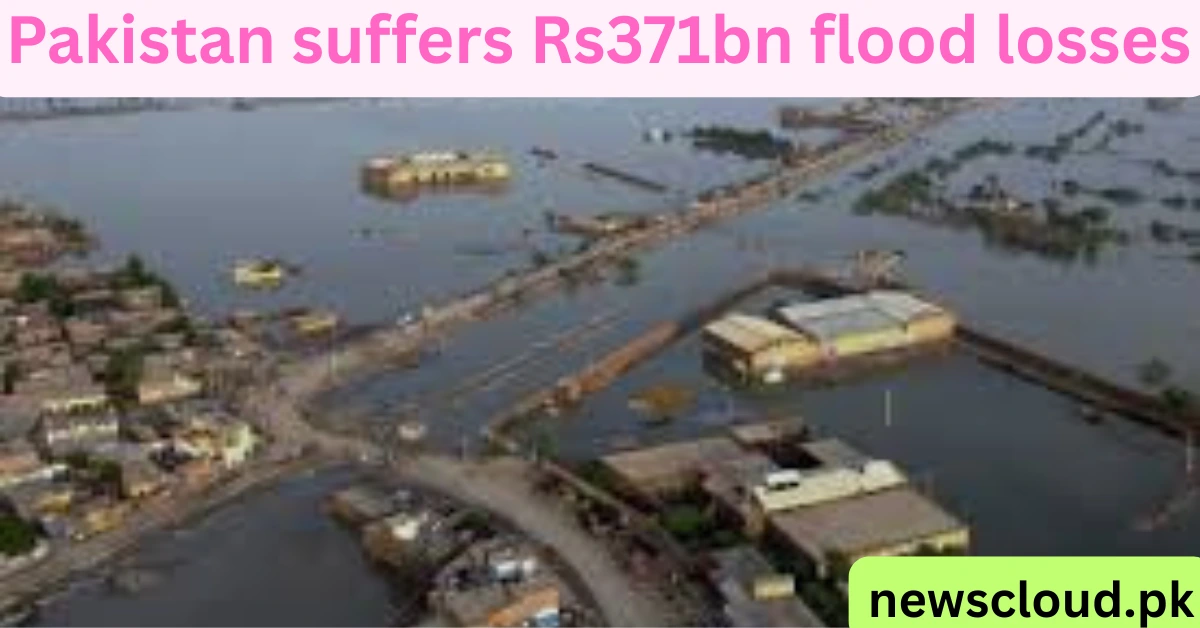 Pakistan Flood Losses Reach Rs371 Billion, GDP Target Slashed to 3.9%