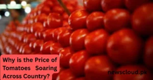 Tomato Price Hike Pakistan: Why Costs Jumped to Rs.550/kg — Explained